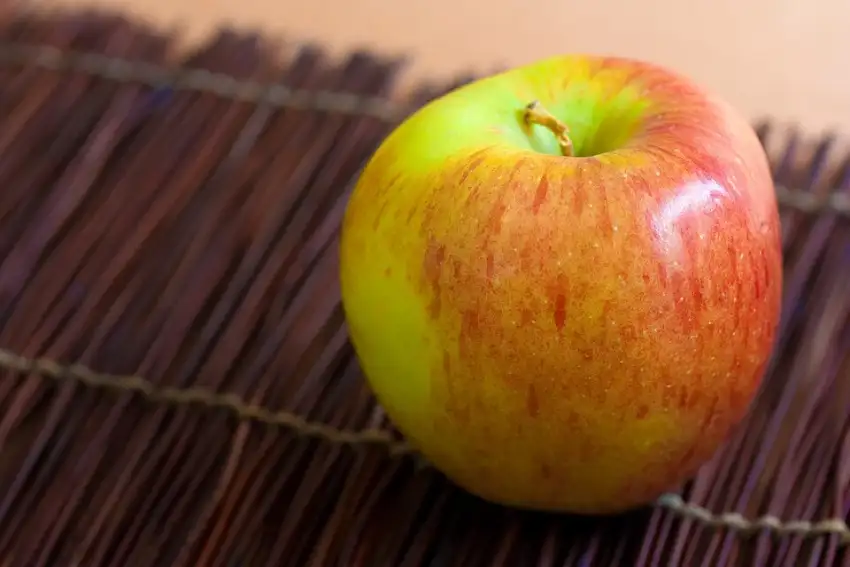 Braeburn apple showing ripe fruit color.