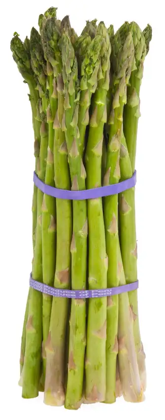 Fresh green asparagus spears. Species shown, not the Jersey Giant cultivar.