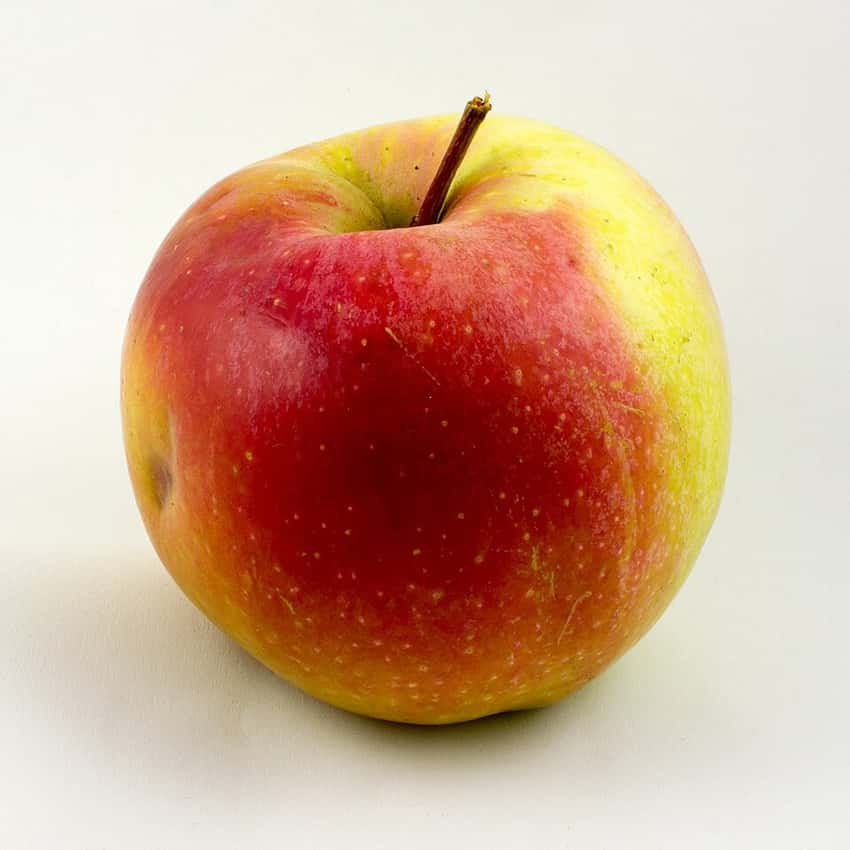 A red Gala apple.