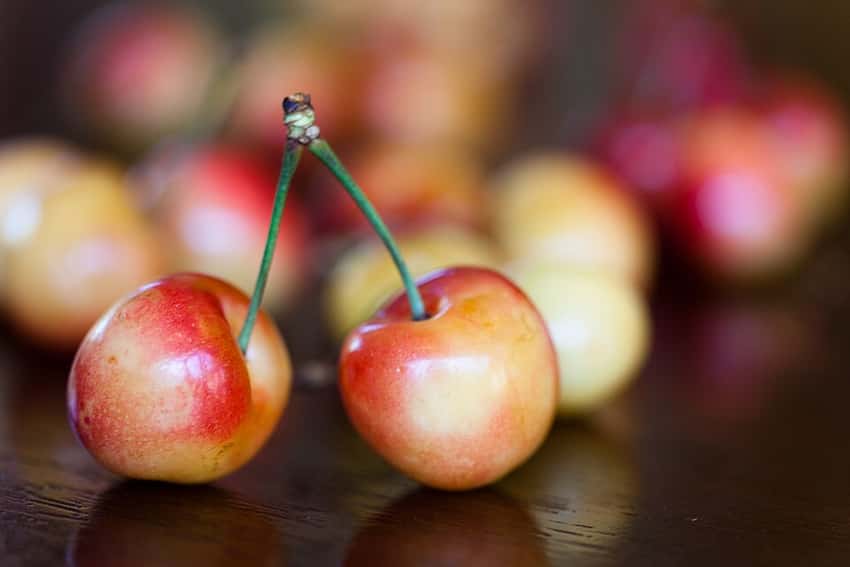Two yellow-and-red Rainier cherries on a table.