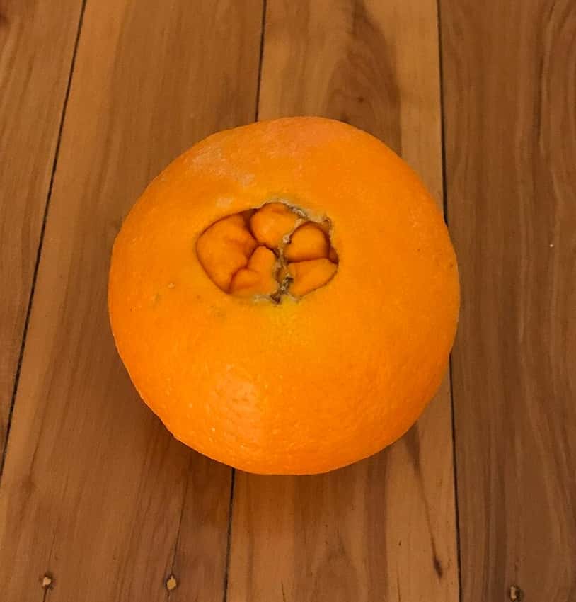 A ripe navel orange.