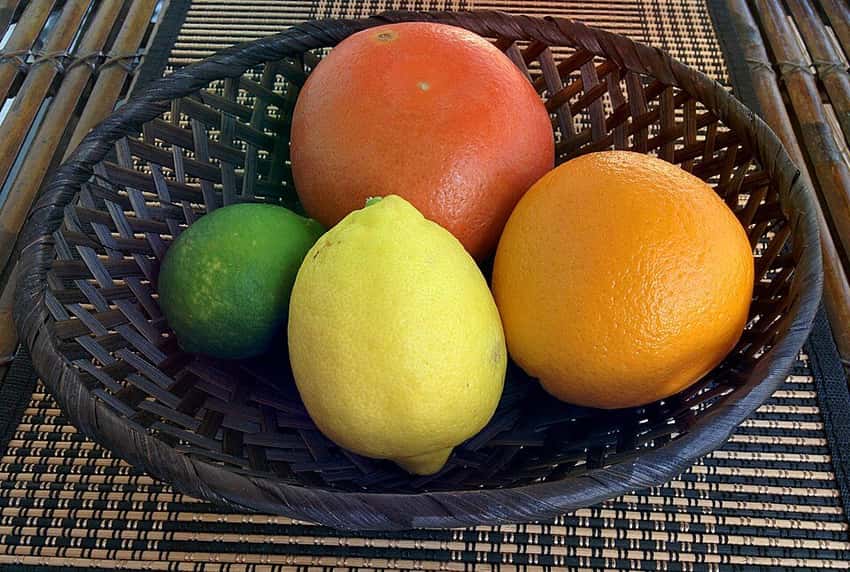 Assorted citrus fruit, including lemons, limes, oranges and grapefruit.