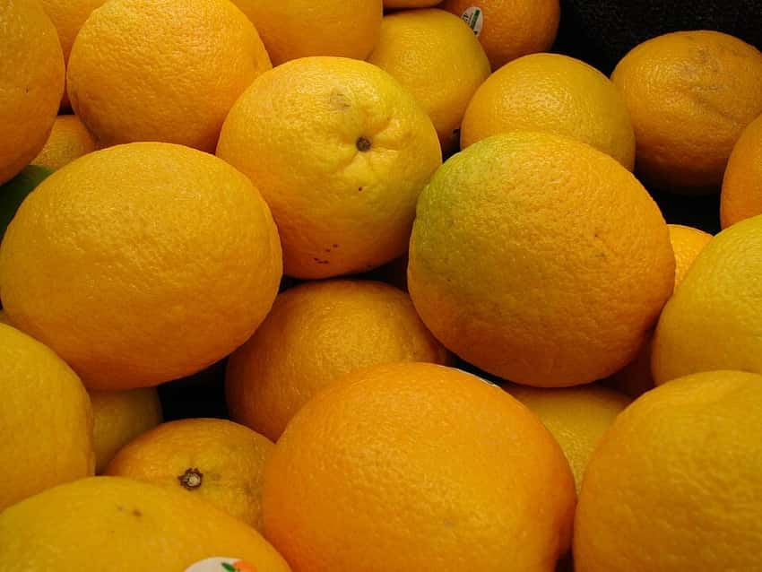 Representative sweet oranges shown close up; cultivar not verified.
