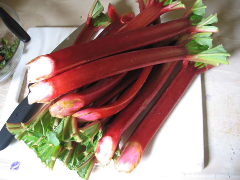 photo of harvested rhubarb stalks; Victoria rhubarb cultivar not verified in this image.