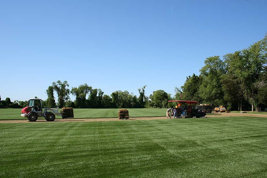 Tall-fescue sod being harvested in rolls from a green turf field