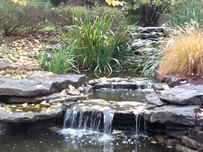 Landscaping · Photograph 17