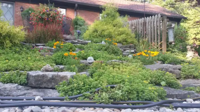 Landscaping · Photograph 7