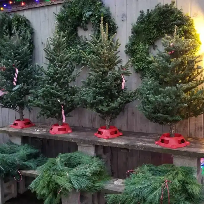 Table Top Trees, Wreaths and Pine Roping