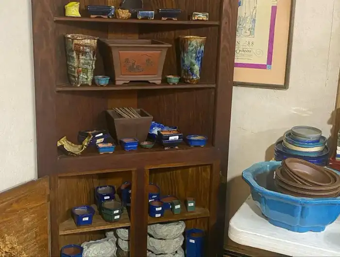 A varied selection of bonsai pots on display at Reminiscent