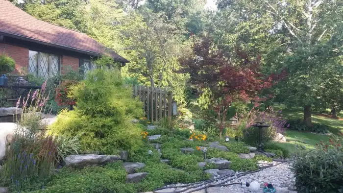 Landscaping · Photograph 8