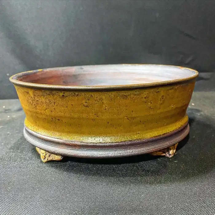 Kingdom Bonsai Bonsai Pot