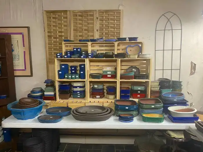 Bonsai Pot