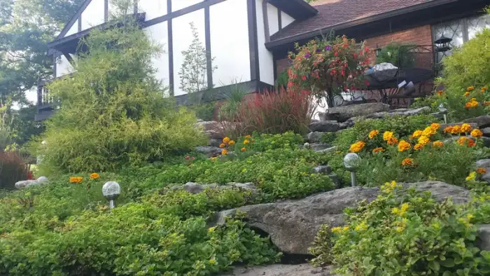Landscaping · Photograph 6
