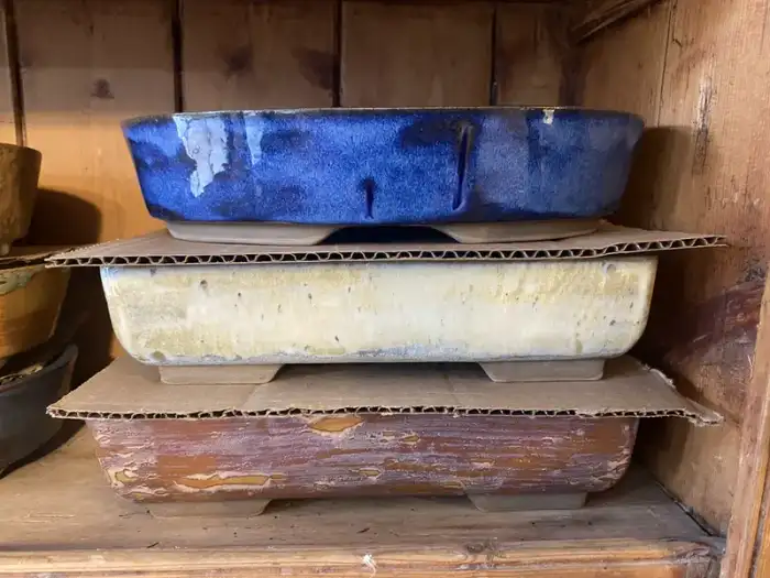 Bokeno Bonsai Pot