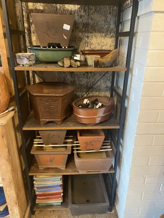 Bonsai Pot