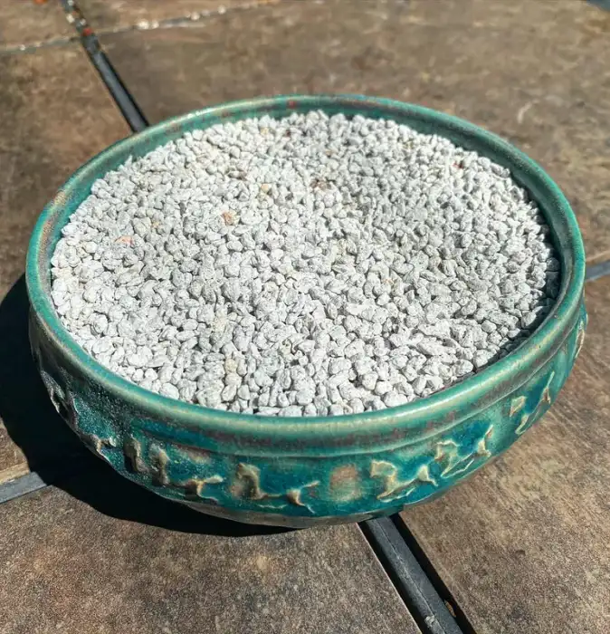 Pumice photographed at Reminiscent Nursery