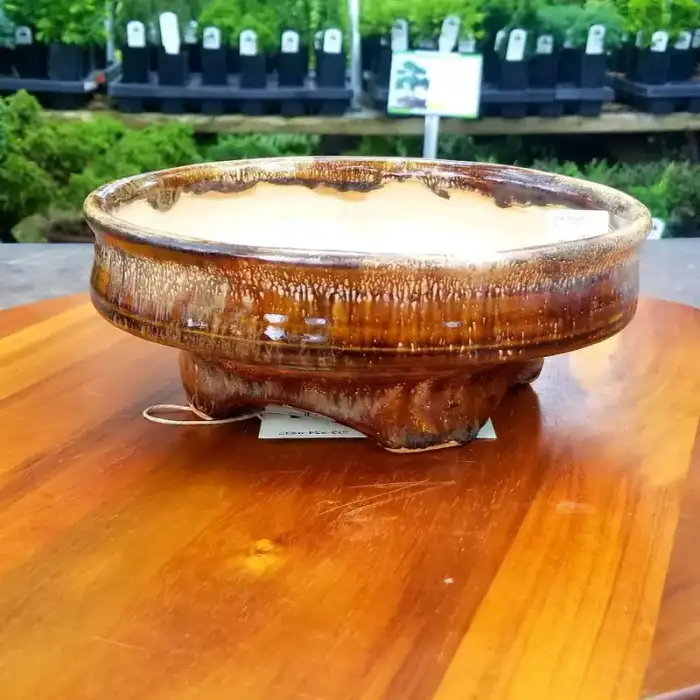 Jaime Art Pottery Bonsai Pot