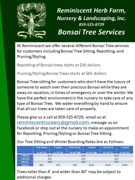 Reminiscent bonsai tree sitting, repotting and pruning service information