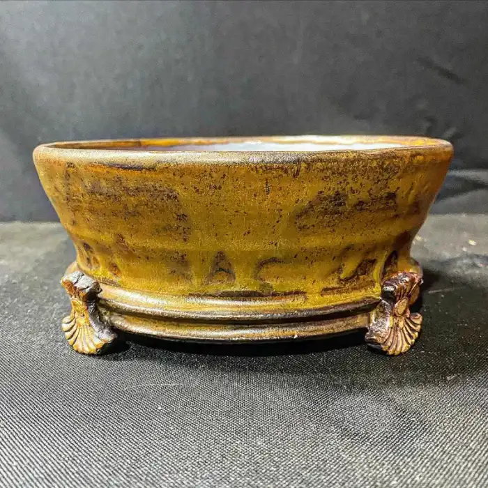 Kingdom Bonsai Bonsai Pot