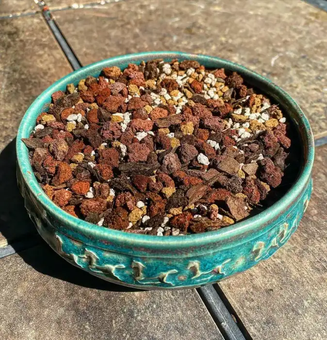 Reminiscent all purpose bonsai soil mix