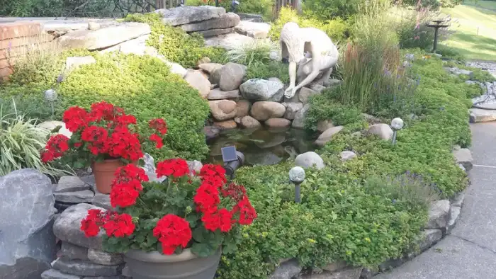 Landscaping · Photograph 9