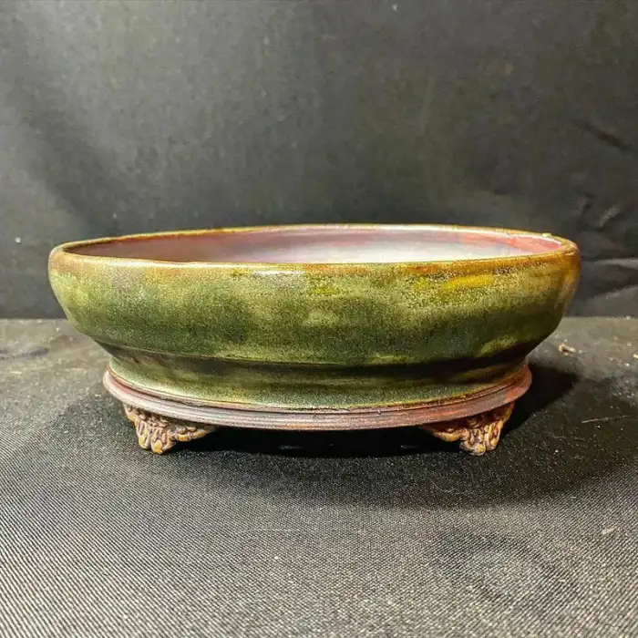 Kingdom Bonsai Bonsai Pot