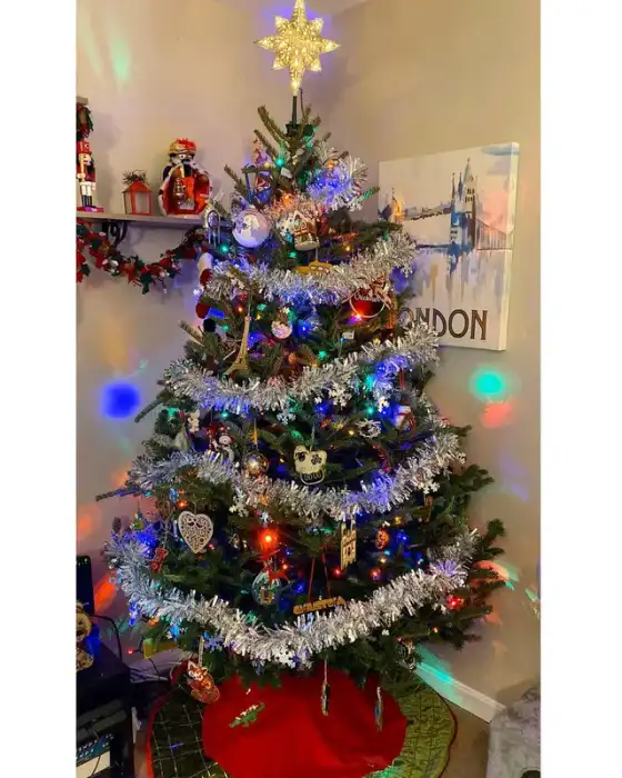 Fresh cut Fraser fir Christmas trees