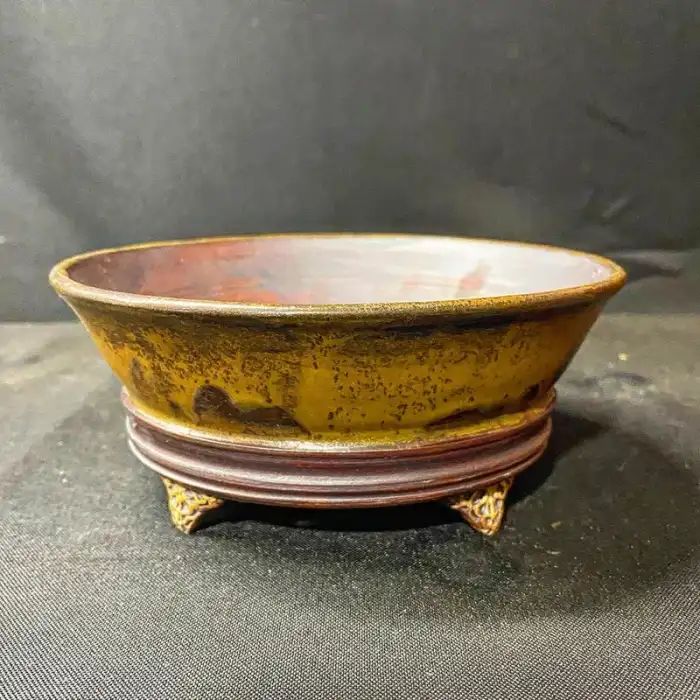 Kingdom Bonsai Bonsai Pot