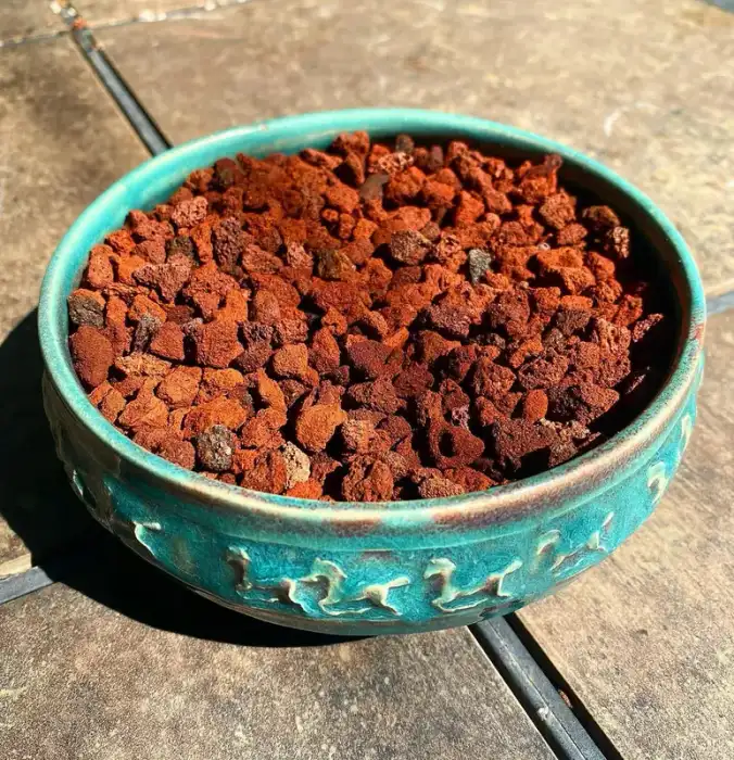 Lava rock photographed at Reminiscent Nursery