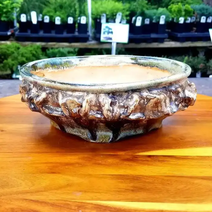 Jaime Art Pottery Bonsai Pot