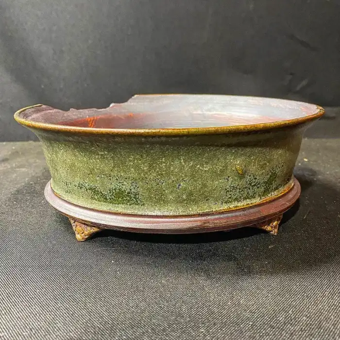 Kingdom Bonsai Bonsai Pot