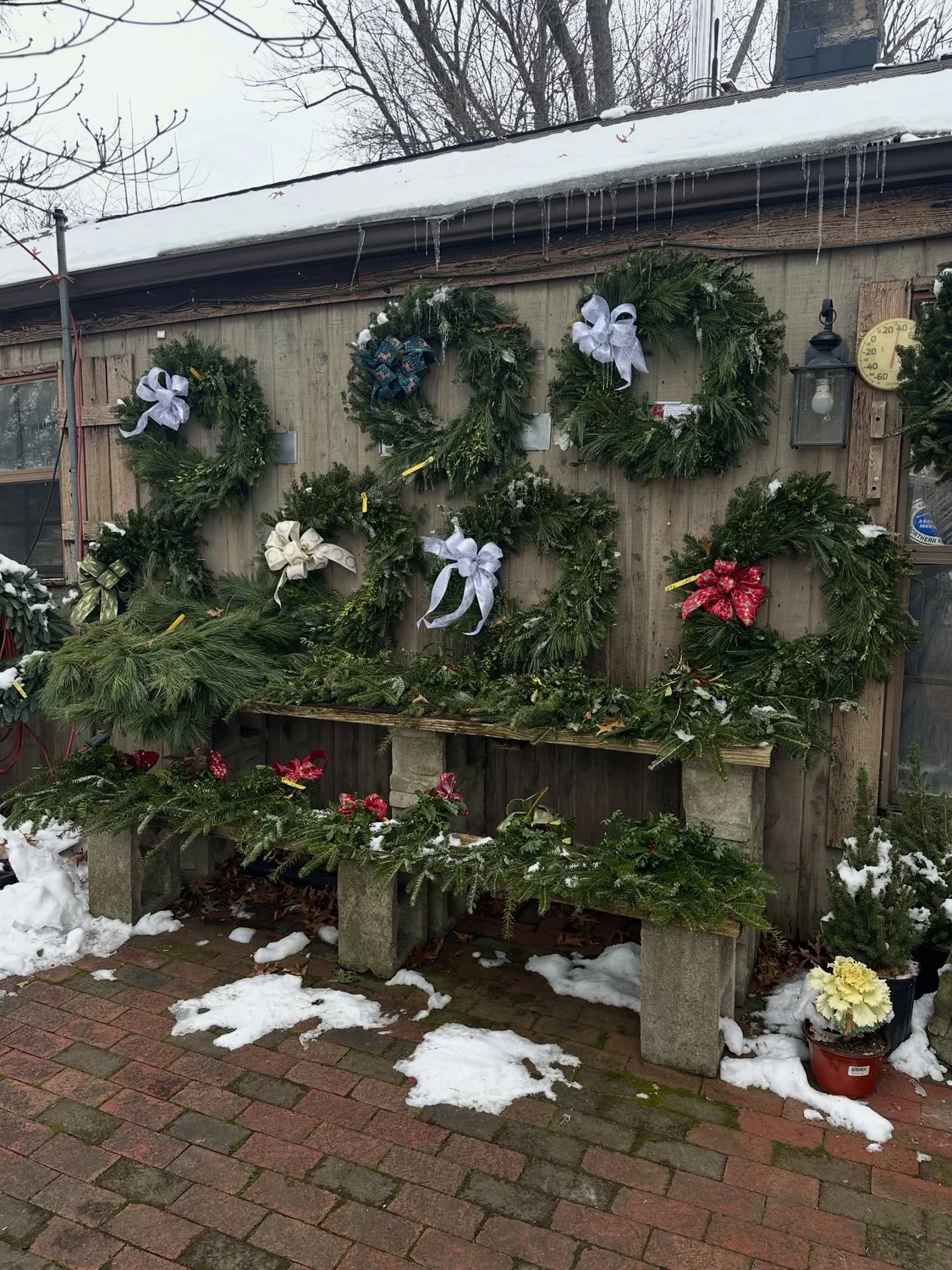 Fresh evergreen wreaths with bows and greenery displayed outside Reminiscent in the snow