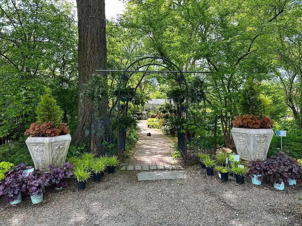 The entrance to Reminiscent: an iron arch and brick garden path framed by planted urns, trees and nursery plants.
